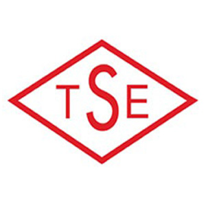 TSE Logo