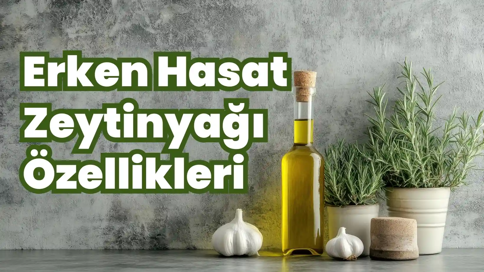 Erken Hasat Zeytinyağı Özellikleri
